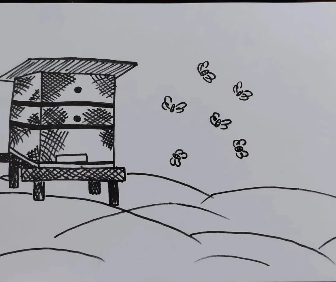 Včelí úl uprostřed luk a lesů Svitavska – ilustrace cesty medu